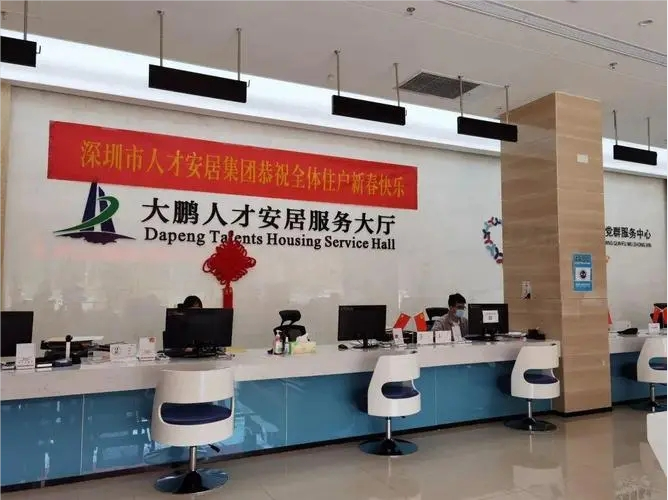 大鹏人才安居档案整理项目验收