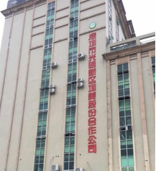 光明圳美股份公司档案整理项目